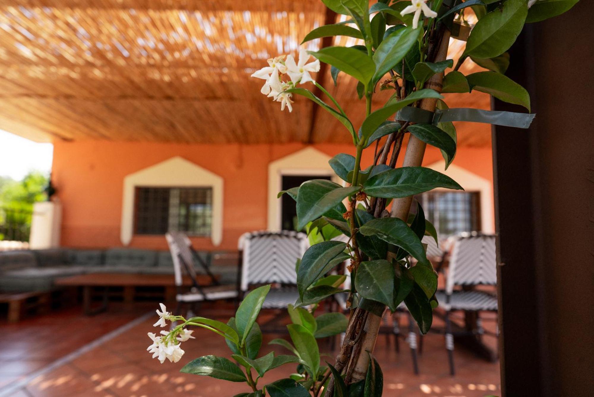 Villa Origen Andevalo Calanas Esterno foto